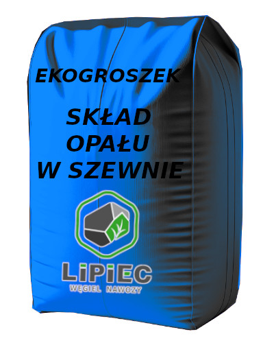 Skład węgla Szewna