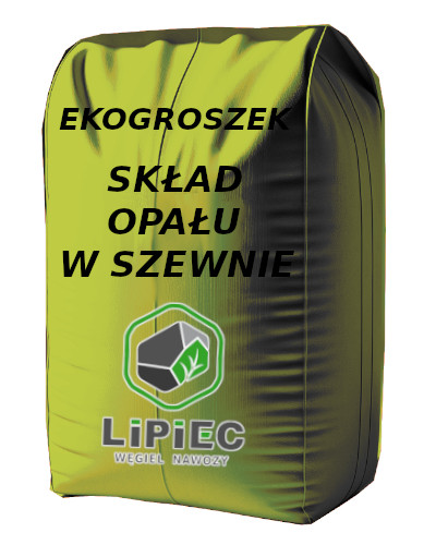 Skład węgla Szewna